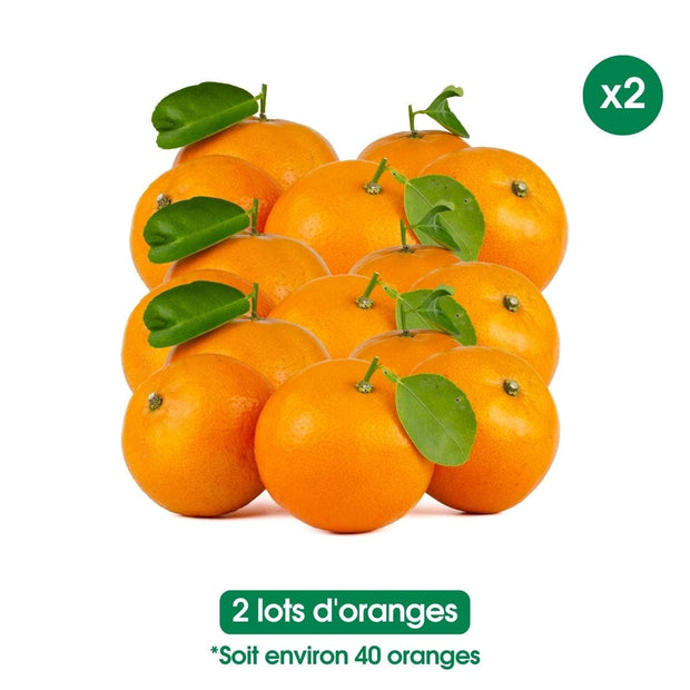 Oranges fraiches -lot de 20