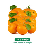 Oranges fraiches -lot de 20