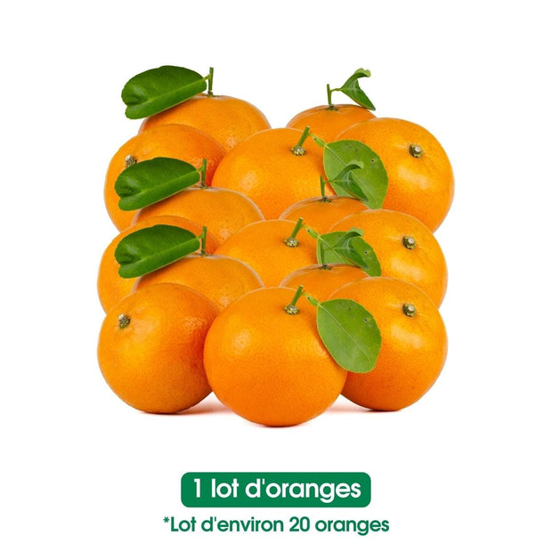 Oranges fraiches -lot de 20
