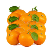 Oranges fraiches -lot de 20