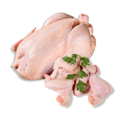 Viande de poulet Bicyclette entier